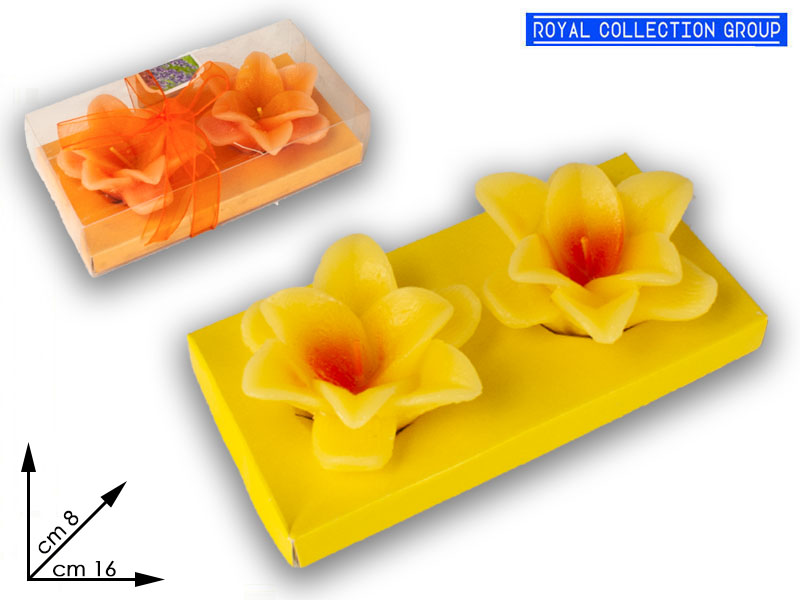 8233 Conf 2 Candele Profumate Fiore Cm16x8