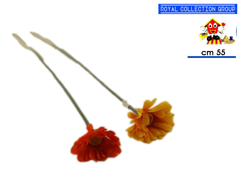 Gv 6022 Gerbera (min 100 Pz) Cm55